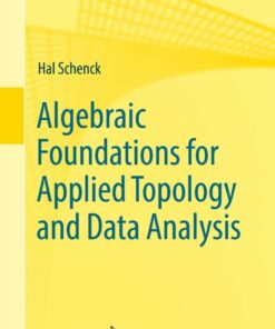 Algebraic Foundations for Applied Topology and Data Analysis eBook