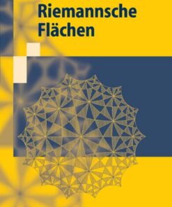 Riemannsche Flächen eBook