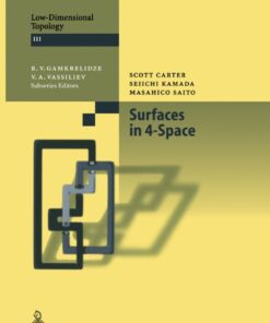 Surfaces in 4-Space eBook