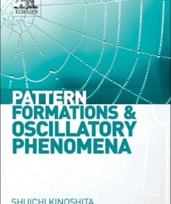 Pattern Formations and Oscillatory Phenomena eBook