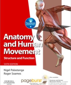 Anatomy and Human Movement eBook