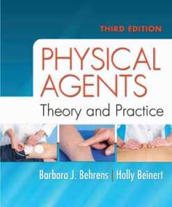 Physical Agents: Theory and Practice eBook
