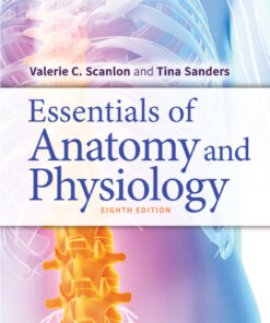 Essentials of Anatomy and Physiology eBook