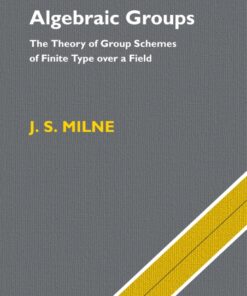 Algebraic Groups: The Theory of Group Schemes of Finite Type over a Field eBook