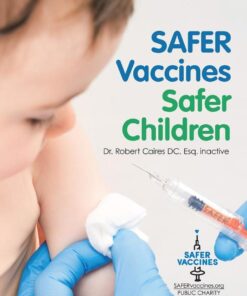 Safer Vaccines, Safer Children eBook