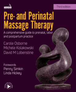 Pre- and Perinatal Massage Therapy: A Comprehensive Guide to Prenatal, Labor and Postpartum Practice eBook