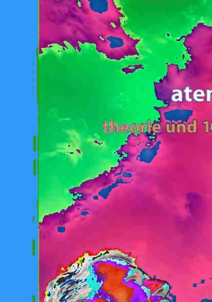 9783211363911.jpg