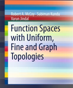 Function Spaces with Uniform, Fine and Graph Topologies eBook