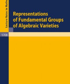 Representations of Fundamental Groups of Algebraic Varieties eBook