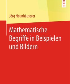 Mathematische Begriffe in Beispielen und Bildern eBook