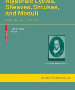 Algebraic Cycles, Sheaves, Shtukas, and Moduli: Impanga Lecture Notes eBook