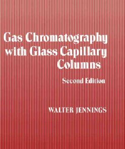 Gas Chromatography with Glass Capillary Columns eBook