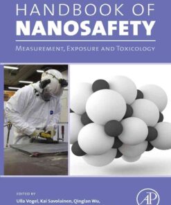 Handbook of Nanosafety: Measurement, Exposure and Toxicology eBook