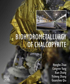 Biohydrometallurgy of Chalcopyrite eBook