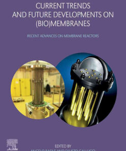 Current Trends and Future Developments on (Bio-) Membranes: Recent Advances on Membrane Reactors eBook