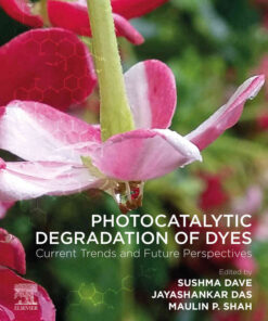 Photocatalytic Degradation of Dyes: Current Trends and Future Perspectives eBook