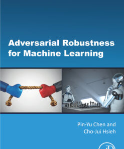 Adversarial Robustness for Machine Learning eBook