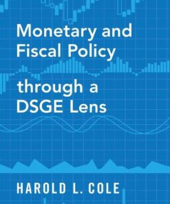 Monetary and Fiscal Policy through a DSGE Lens eBook
