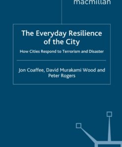 The Everyday Resilience of the City: How Cities Respond to Terrorism and Disaster eBook