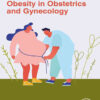 Handbook of Obesity in Obstetrics and Gynecology eBook