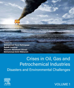 Crises in Oil, Gas and Petrochemical Industries: Disasters And Environmental Challenges eBook