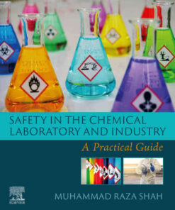 Safety in the Chemical Laboratory and Industry: A Practical Guide eBook