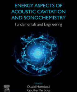 Energy Aspects of Acoustic Cavitation and Sonochemistry: Fundamentals and Engineering eBook
