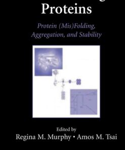 Misbehaving Proteins: Protein (Mis)Folding, Aggregation, and Stability eBook
