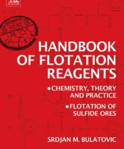 Handbook of Flotation Reagents: Chemistry, Theory and Practice: Volume 1: Flotation of Sulfide Ores eBook