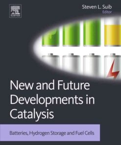 New and Future Developments in Catalysis: Batteries, Hydrogen Storage and Fuel Cells eBook