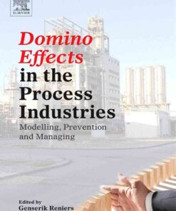 Domino Effects in the Process Industries: Modelling, Prevention and Managing eBook