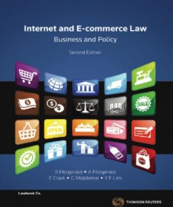 Internet & E-commerce Law Business & Policy eBook