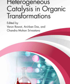 Heterogeneous Catalysis in Organic Transformations eBook