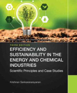 Efficiency and Sustainability in the Energy and Chemical Industries, 3rd Edition eBook