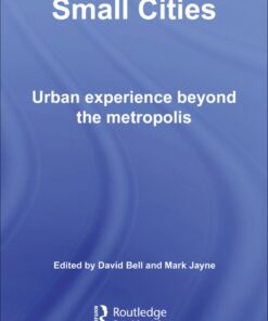 Small Cities: Urban Experience Beyond the Metropolis eBook