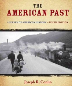 The American Past: A Survey of American History, 10th Edition eBook
