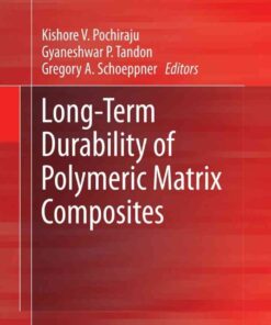 Long-Term Durability of Polymeric Matrix Composites eBook