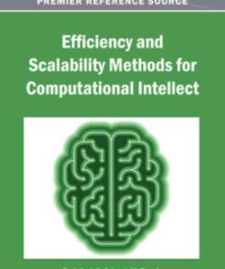 Efficiency and Scalability Methods for Computational Intellect eBook