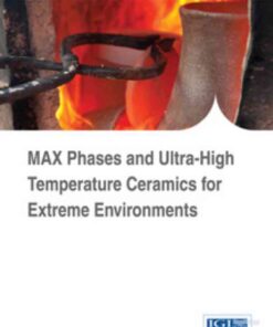 MAX Phases and Ultra-High Temperature Ceramics for Extreme Environments eBook