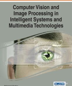 Computer Vision and Image Processing in Intelligent Systems and Multimedia Technologies eBook