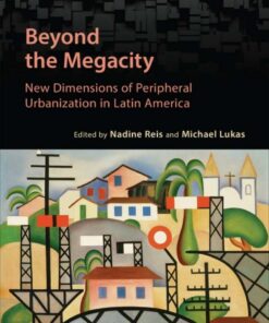 Beyond the Megacity: New Dimensions of Peripheral Urbanization in Latin America eBook