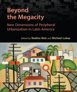 Beyond the Megacity: New Dimensions of Peripheral Urbanization in Latin America eBook