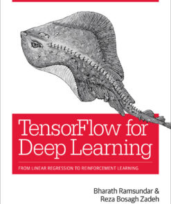 TensorFlow for Deep Learning: From Linear Regression to Reinforcement Learning eBook