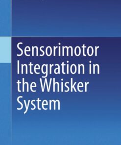 Sensorimotor Integration in the Whisker System eBook
