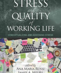 Stress and Quality of Working Life: Conceptualizing and Assessing Stress, 1st Edition eBook
