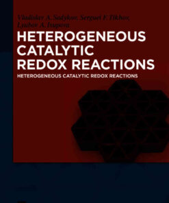 Heterogeneous Catalytic Redox Reactions: Fundamentals and Applications eBook