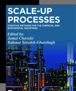 Scale-Up Processes: Iterative Methods for the Chemical, Mineral and Biological Industries eBook