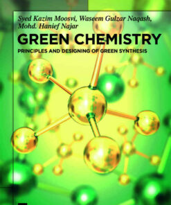 Green Chemistry: Principles and Designing of Green Synthesis eBook