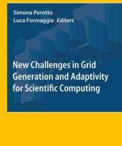 New Challenges in Grid Generation and Adaptivity for Scientific Computing eBook
