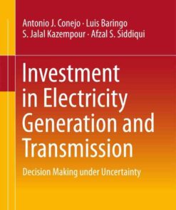 Investment in Electricity Generation and Transmission: Decision Making under Uncertainty eBook